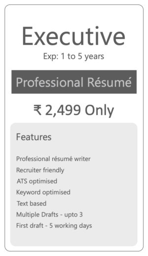 Executive Professional CV